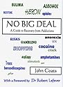 No Big Deal: A Guide to Recovery from Addictions