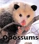 Opossums (Naturebooks: Mammals)
