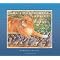 New York Times Best Illustrated Children's Books 1977