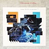Flat earth (1984) [VINYL]
