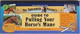The Squeamish Person's Guide to Pulling Your Horse's Mane