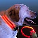 Aidi LED Dog Collar Large by 4Value shop