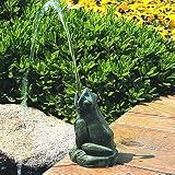 Croaking Frog