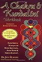 A Chakra and Kundalini Workbook: Psycho-Spiritual Techniques for Health, Rejuvenation, Psychic Powers and Spiritual Realization