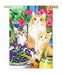 Kitten Mischief Silk Reflections Garden Size Flag
