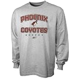 Reebok Phoenix Coyotes Ash Prime Long Sleeve T-shirt