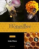 The honey bee inside out