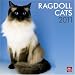 Search : Ragdoll Cats 2011 Square 12X12 Wall Calendar (Multilingual Edition)