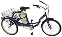2007 IZIP Tricruiser Electric Tricycle
