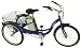2007 IZIP Tricruiser Electric Tricycle