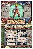 Naruto Ninja Destiny (Nintendo DS)
