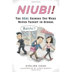 Niubi!: The Real Chinese You Were Never Taught in School