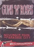 November Rain In Paradise City: An Unauthorized Biography