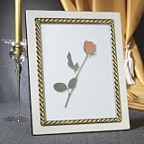 8 X10 CONTESSA COLLECTION SILVER PLATED PHOTO FRAME