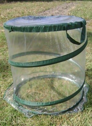 i10Direct Jumbo Pop-up Greenhouse Protects Shrubs, Small Trees, Bushes, Plants, Garden From Frost