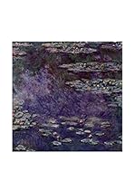 Especial Arte Lienzo Waterlili 045 Multicolor