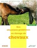 Des situations-probl�mes en �levage de chevaux