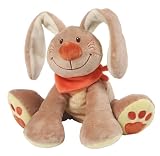 Nattou - Pol & Jade - 352000 - Jouet premier âge - Peluches et Doudous - Lapin 28 cm