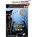 The Witches of Worm (Yearling Book)