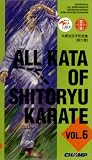 Review Dragon Associates Inc.  / Shito Ryu Karate Kata Vol 6 Chinto, Sanchi, & Tensho (Tsunami)