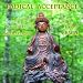 Books : Radical Acceptance: Guided Meditations