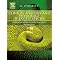 herpetological books