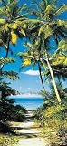 Beach Path 5062 Wall Mural