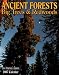 Book Ancient Forests 2007 Calendar: Big Trees & Redwoods