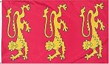 Outdoor Living : King Richard I HISTORICAL Flag - 3 foot by 5 foot Polyester (NEW)