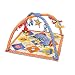 Infantino Giddy-up and Go Gym