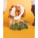 Marble Guinea Pig 7" by Douglas Cuddle Toys ~ Douglas Cuddle Toys