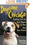 Doggone Chicago Sniffing Our the Best Places to Take Your Best Friend