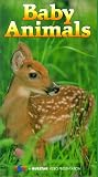 World of Baby Animals Vol 2