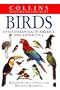 Illus Checklist Birds South S.amer