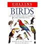 Birds of Southern South America and Antarctica (Collins Illustrated Checklist)