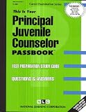 Review National Learning Corp  / Principal Juvenile Counselor (Career Examination Series, C-422)
