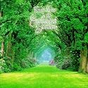 In the Enchanted Garden