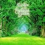 In the Enchanted Garden