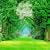 In the Enchanted Garden
