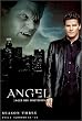 Angel - J�ger der Finsternis: Season 3.2 [3 DVDs]