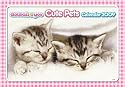 "Animal and You" Cute Pets Calendar 2009 2009
