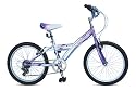 Concept Moonbeam Girls 20" Wheel Mountain Bike