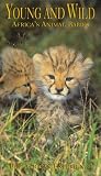 Young And Wild - Africa's Animal Babies
