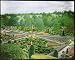 Photographic Prints of Drummond Castle Gardens, near Crieff, Scotland from Mary Evans