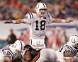 Peyton Manning at Scrimmage SB XLI 8x10