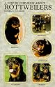 Step by Step Book About Rottweilers