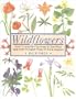 Wildflowers: How to Identify Flowers in the Wild and How to Grow Them in Your Garden