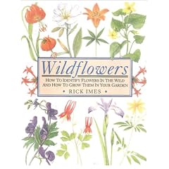 Wildflowers: How to Identify Flowers in the Wild and How to Grow Them in Your Garden