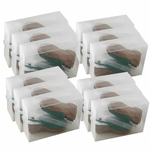 Amazon.de: 15 x PP368TG Universal Schuhbox Schuhkasten Box Schuhe