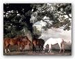 Green Pastures (A Family Group) by George Stubbs 22"x28" Art Print Poster